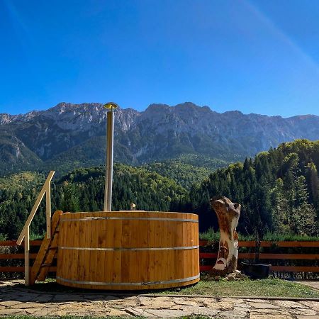 Panorama Pietrei Craiului Hotell Zărneşti Eksteriør bilde