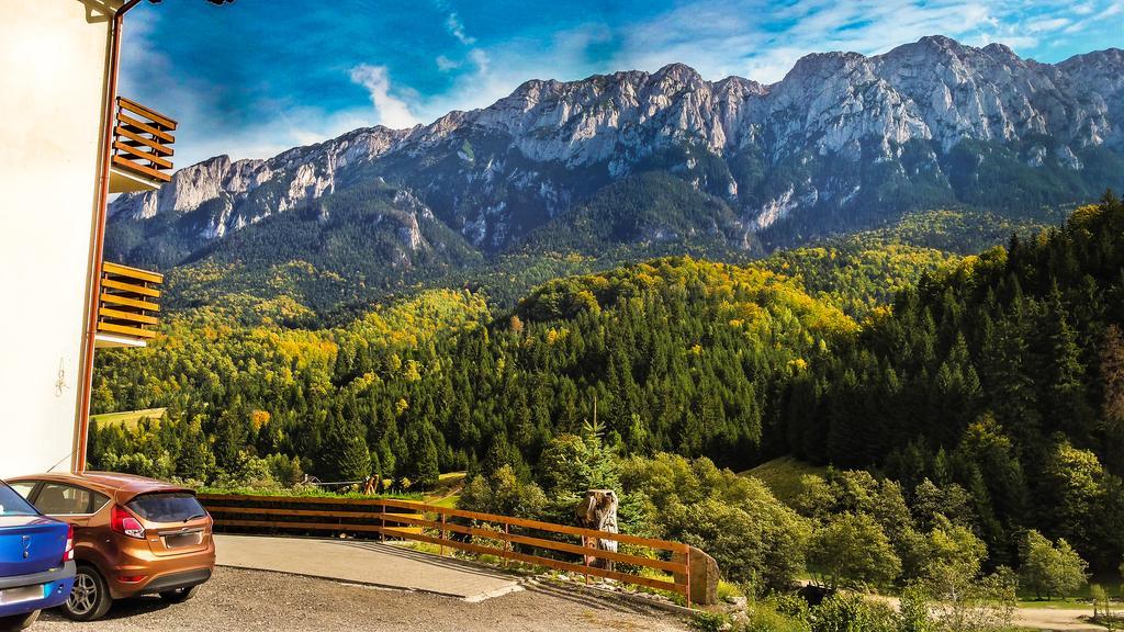 Panorama Pietrei Craiului Hotell Zărneşti Eksteriør bilde